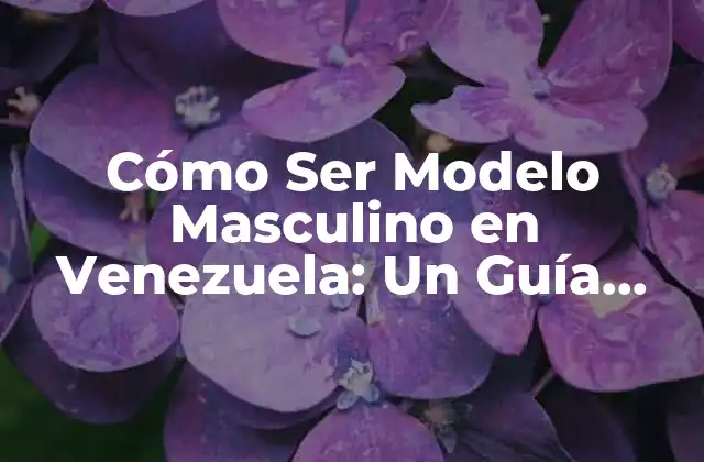 Cómo Ser Modelo Masculino en Venezuela: un Guía Detallada para Triunfar en la Industria de la Moda