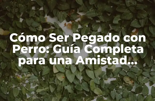 Cómo Ser Pegado con Perro: Guía Completa para una Amistad Canina Incondicional 2 ¿Qué Es Estar Pegado con Perro?