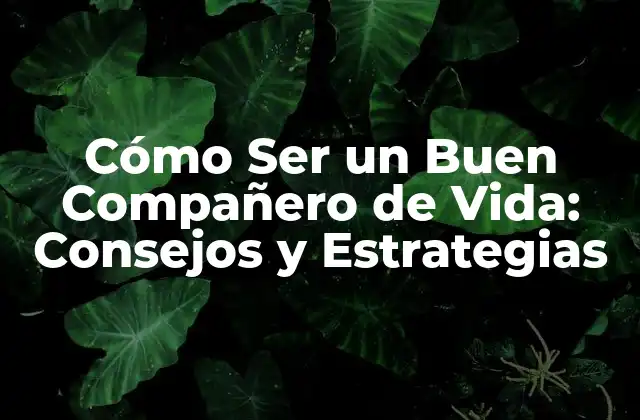 Cómo Ser un Buen Compañero de Vida: Consejos y Estrategias