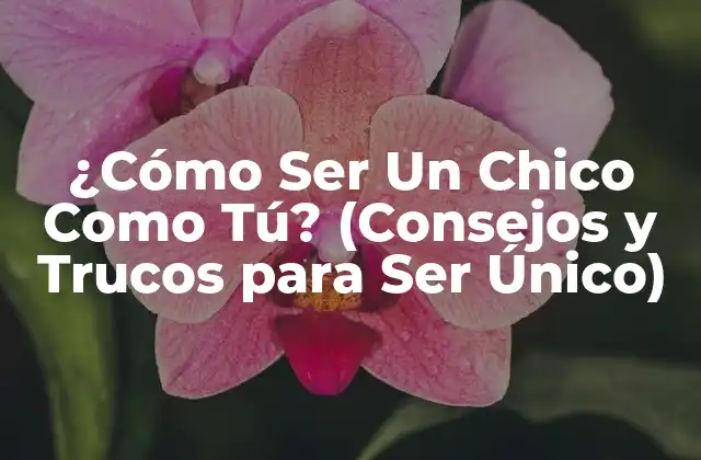 ¿cómo Ser un Chico como Tú? (consejos y Trucos para Ser Único) 2 Acepta Tu Individualidad