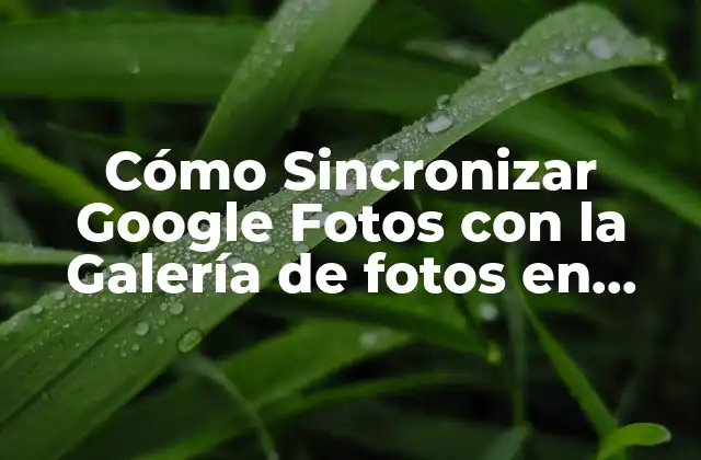 Cómo Sincronizar Google Fotos con la Galería de Fotos en Android y Ios