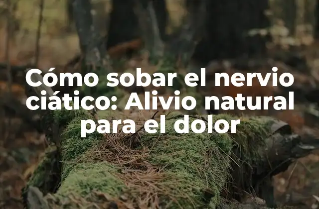 Cómo Sobar el Nervio Ciático: Alivio Natural para el Dolor