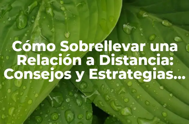 Cómo Sobrellevar una Relación a Distancia: Consejos y Estrategias para Mantener el Amor Vivo