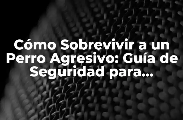 Cómo Sobrevivir a un Perro Agresivo: Guía de Seguridad para Propietarios y No Propietarios