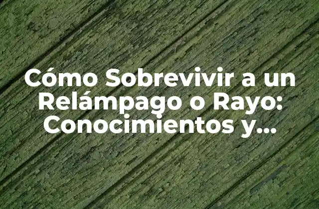 Cómo Sobrevivir a un Relámpago o Rayo: Conocimientos y Precauciones