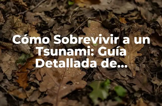 Cómo Sobrevivir a un Tsunami: Guía Detallada de Supervivencia en el Mar