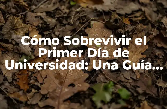 Cómo Sobrevivir el Primer Día de Universidad: una Guía Completa