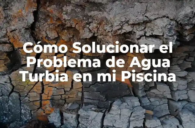 Cómo Solucionar el Problema de Agua Turbia en Mi Piscina