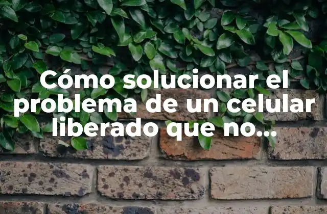 Cómo Solucionar el Problema de un Celular Liberado que No Reconoce el Chip