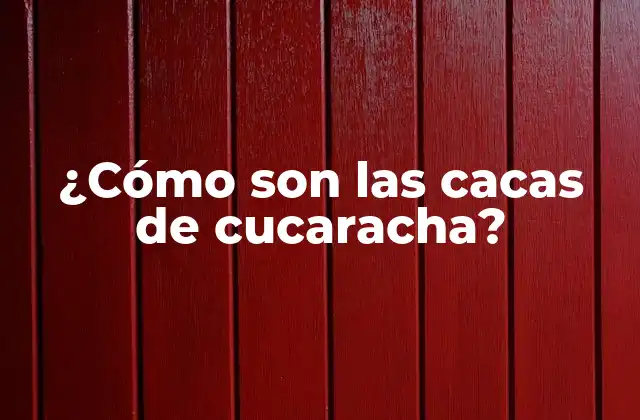 ¿cómo Son las Cacas de Cucaracha?