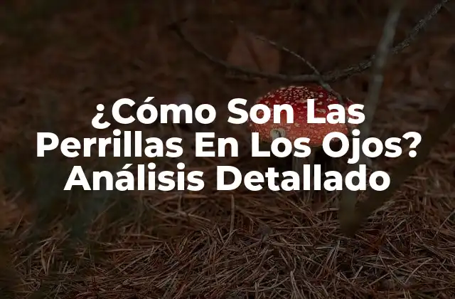 ¿cómo Son las Perrillas en los Ojos? Análisis Detallado