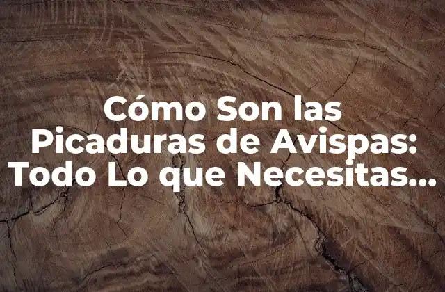 Anatomía de una Picadura de Avispa