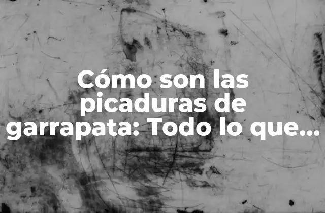Cómo Son las Picaduras de Garrapata: Todo Lo que Debes Saber 2 Anatomía de las garrapatas