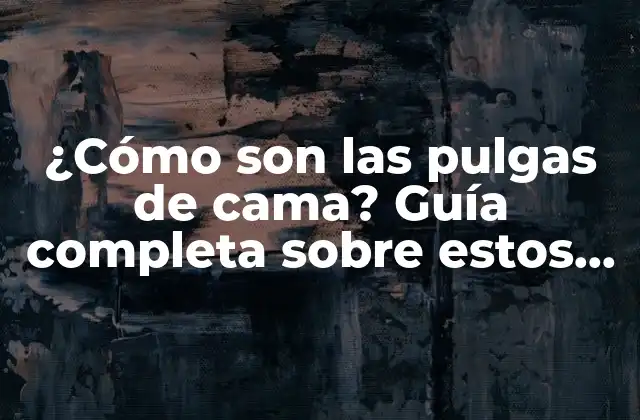 ¿cómo Son las Pulgas de Cama? Guía Completa sobre Estos Insectos Molestos