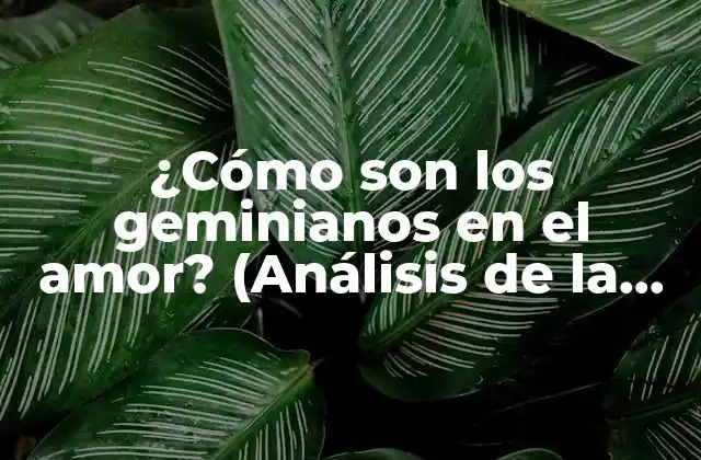 ¿cómo Son los Geminianos en el Amor? (análisis de la Personalidad Geminiana en las Relaciones)