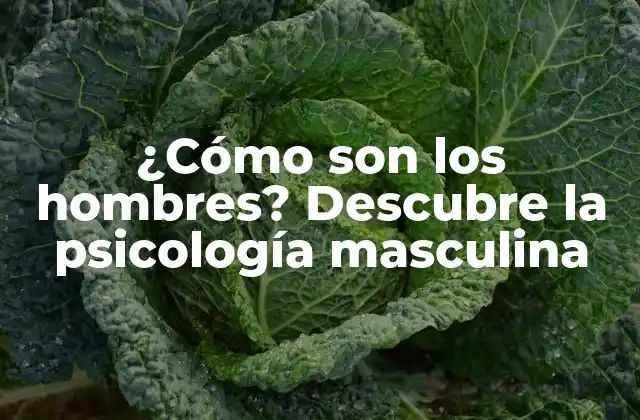 ¿cómo Son los Hombres? Descubre la Psicología Masculina 2 La teoría de la socialización