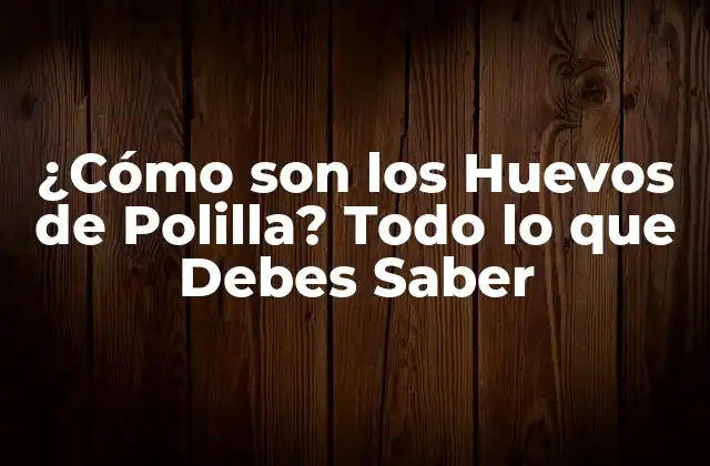 ¿cómo Son los Huevos de Polilla? Todo Lo que Debes Saber 2 Anatomía de los Huevos de Polilla