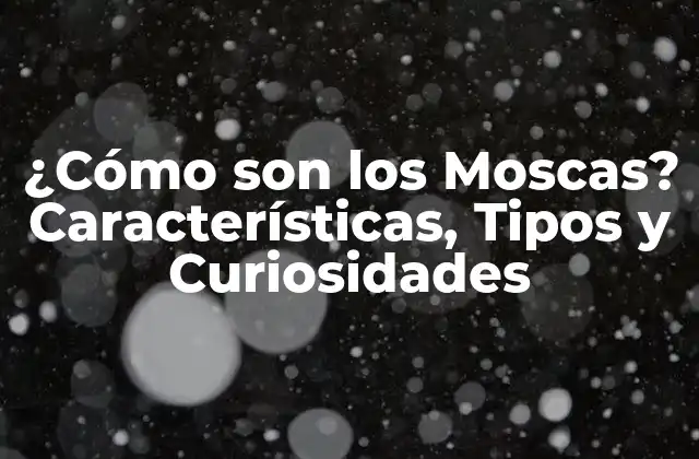 Características Físicas de las Moscas