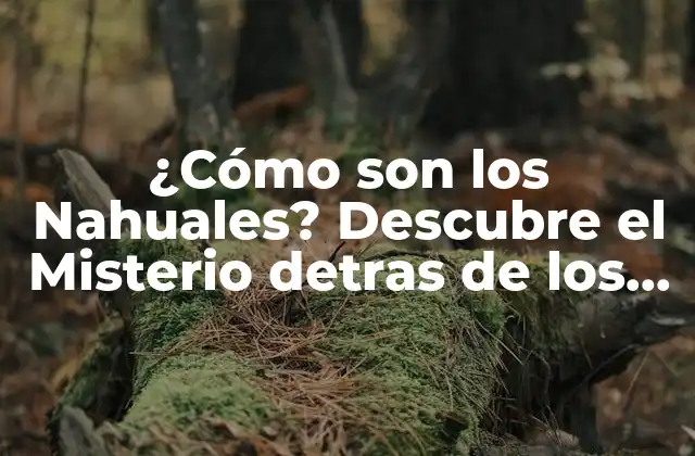 ¿cómo Son los Nahuales? Descubre el Misterio Detras de los Cambiantes Aztecas