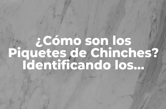 ¿cómo Son los Piquetes de Chinches? Identificando los Síntomas y Tratamientos