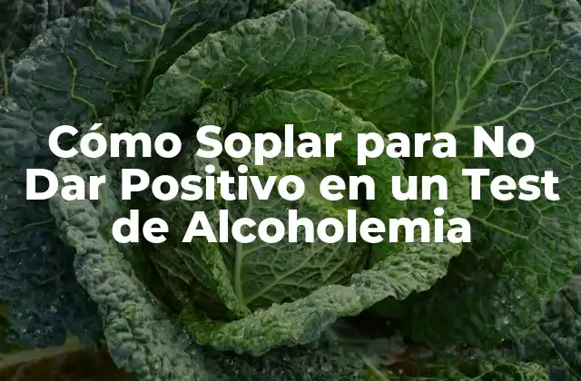 Cómo Soplar para No Dar Positivo en un Test de Alcoholemia