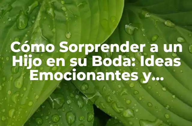 Cómo Sorprender a un Hijo en Su Boda: Ideas Emocionantes y Originales