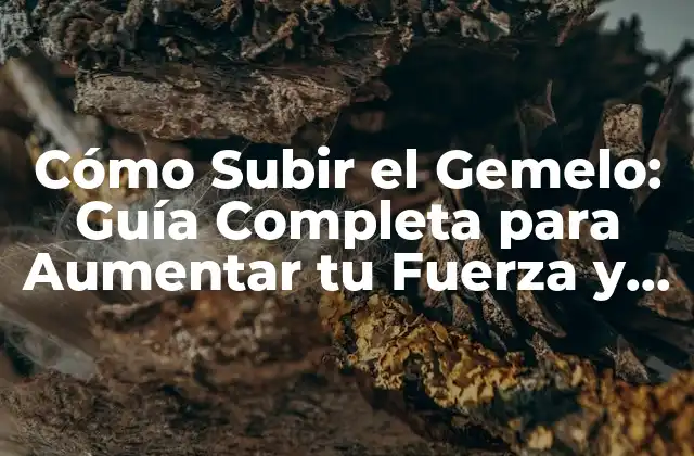 Cómo Subir el Gemelo: Guía Completa para Aumentar Tu Fuerza y Potencia 2 Beneficios de Subir el Gemelo