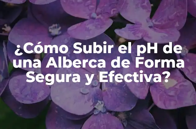 ¿cómo Subir el Ph de una Alberca de Forma Segura y Efectiva? 2 ¿Qué es el pH y por qué es importante en una Alberca?