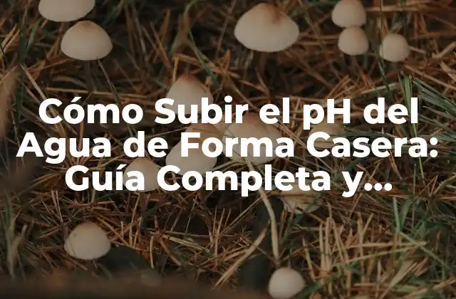 Cómo Subir el Ph Del Agua de Forma Casera: Guía Completa y Segura