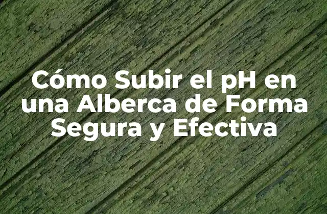 Cómo Subir el Ph en una Alberca de Forma Segura y Efectiva