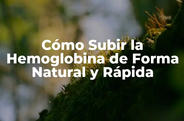 Cómo Subir la Hemoglobina de Forma Natural y Rápida