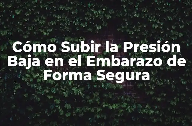 Cómo Subir la Presión Baja en el Embarazo de Forma Segura