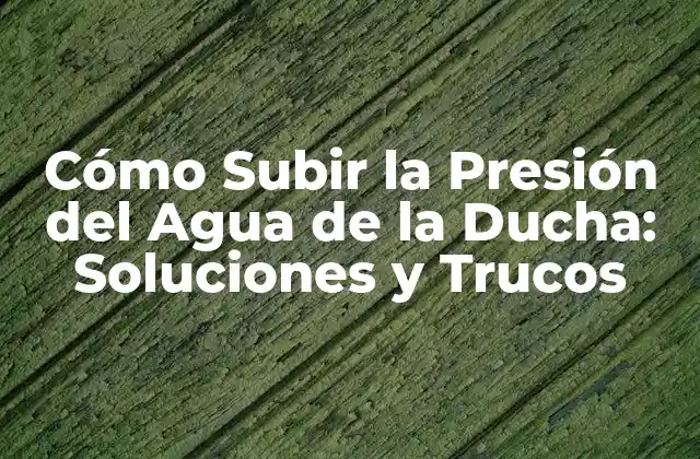 Cómo Subir la Presión Del Agua de la Ducha: Soluciones y Trucos