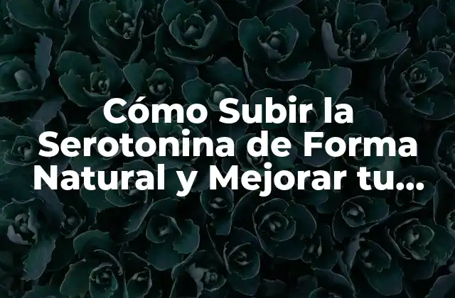 Cómo Subir la Serotonina de Forma Natural y Mejorar Tu Estado de Ánimo