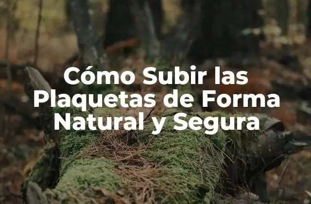 Cómo Subir las Plaquetas de Forma Natural y Segura