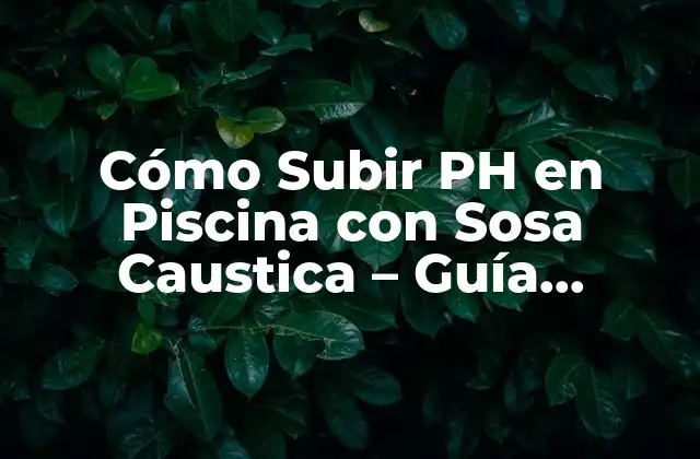 Cómo Subir Ph en Piscina con Sosa Caustica – Guía Completa