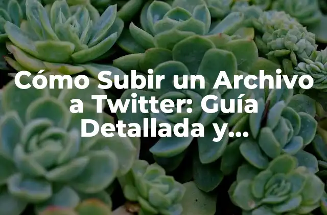 Cómo Subir un Archivo a Twitter: Guía Detallada y Actualizada