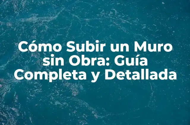 Cómo Subir un Muro sin Obra: Guía Completa y Detallada