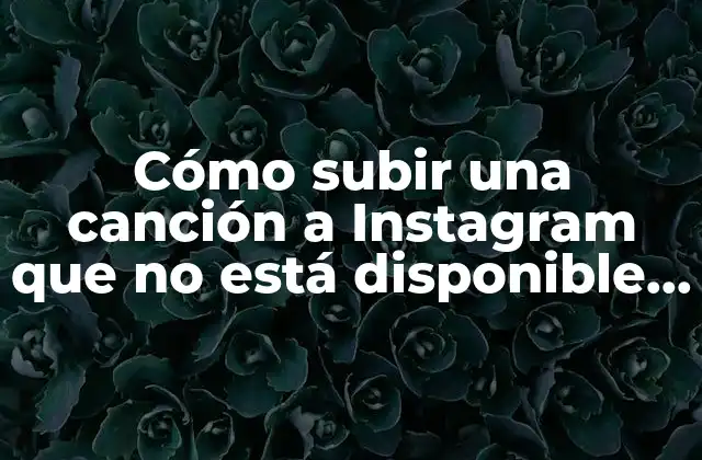 Cómo Subir una Canción a Instagram que No Está Disponible en la Biblioteca de Música