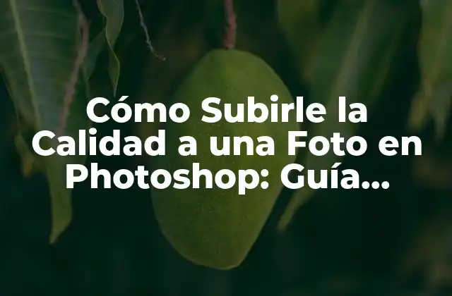 ¿Qué es la Calidad de una Foto en Photoshop?