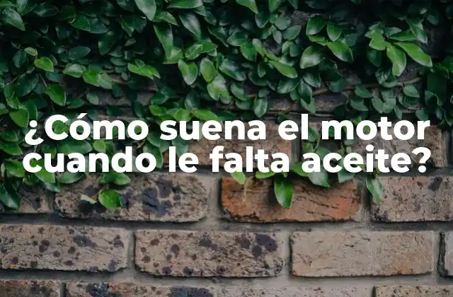 ¿cómo Suena el Motor Cuando Le Falta Aceite?
