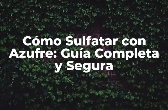 Cómo Sulfatar con Azufre: Guía Completa y Segura