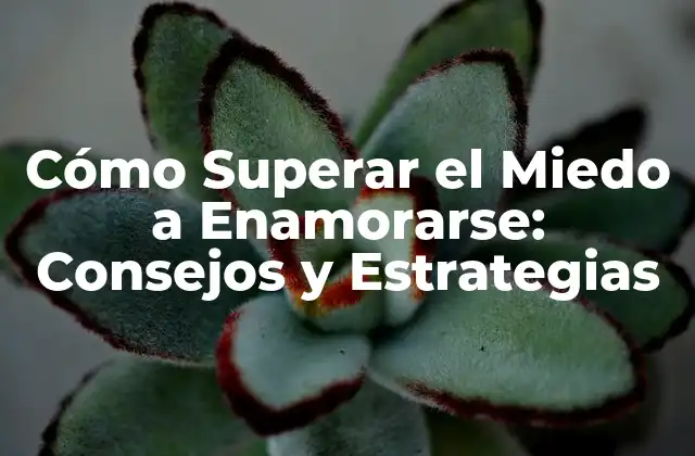 Cómo Superar el Miedo a Enamorarse: Consejos y Estrategias