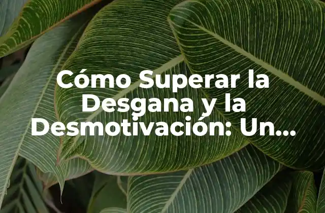 Cómo Superar la Desgana y la Desmotivación: un Guía Práctica