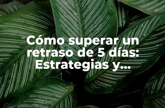 Cómo Superar un Retraso de 5 Días: Estrategias y Soluciones Efectivas