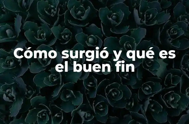 Cómo Surgió y Qué es el Buen Fin