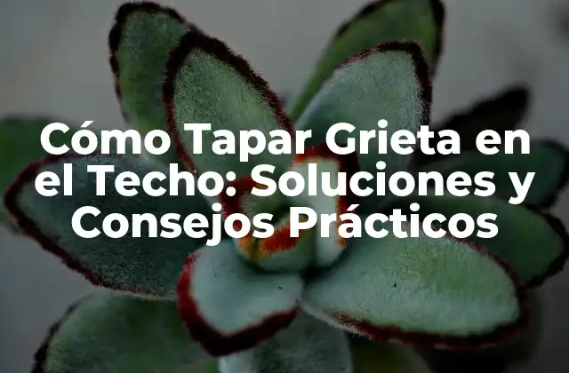 Cómo Tapar Grieta en el Techo: Soluciones y Consejos Prácticos