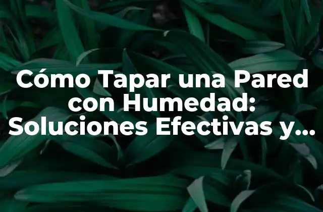 Identificar los Síntomas de Humedad en las Paredes