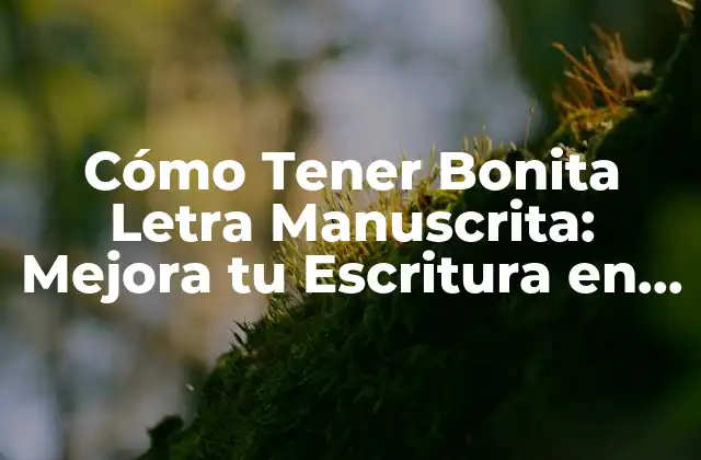 Cómo Tener Bonita Letra Manuscrita: Mejora Tu Escritura en 15 Pasos