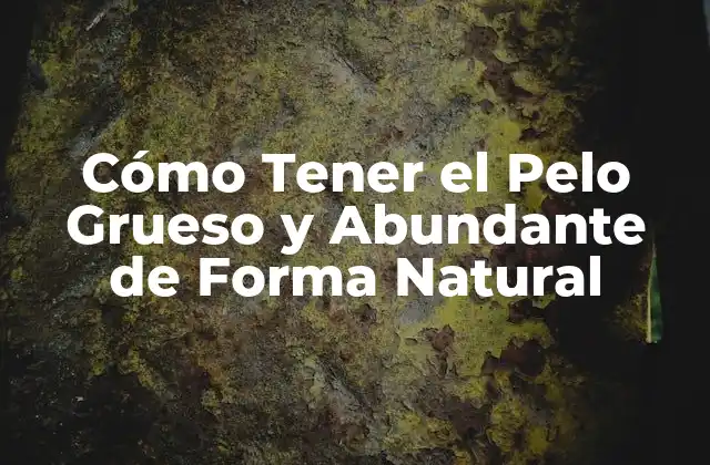 Cómo Tener el Pelo Grueso y Abundante de Forma Natural